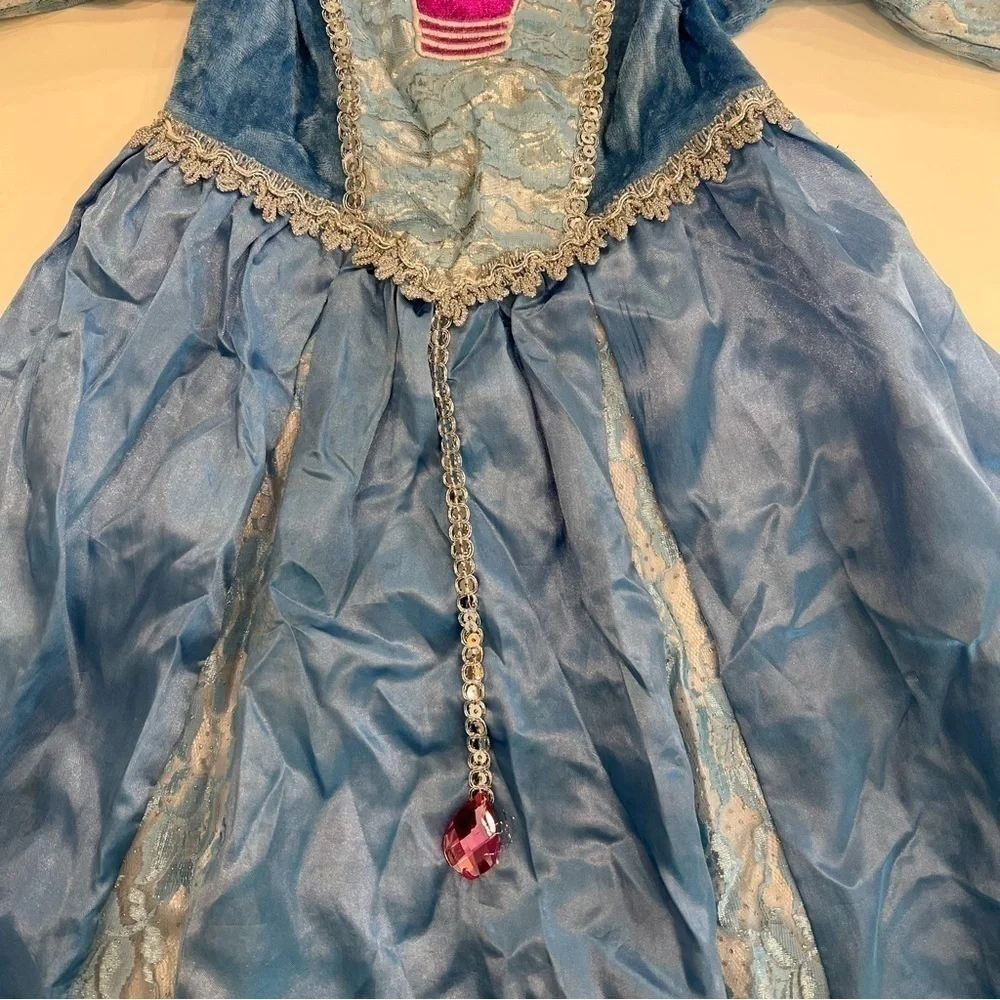 Cinderella princess dress costume